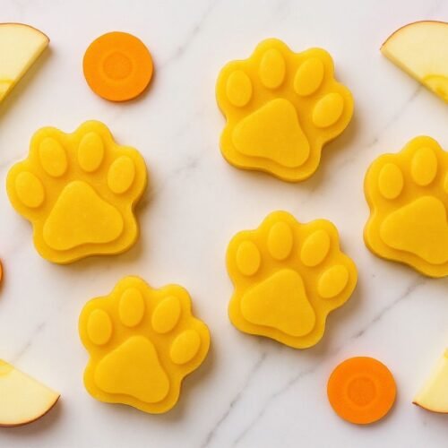 Apple and Carrot Hydration Ice Pops dog treats laid out on kitchen surface